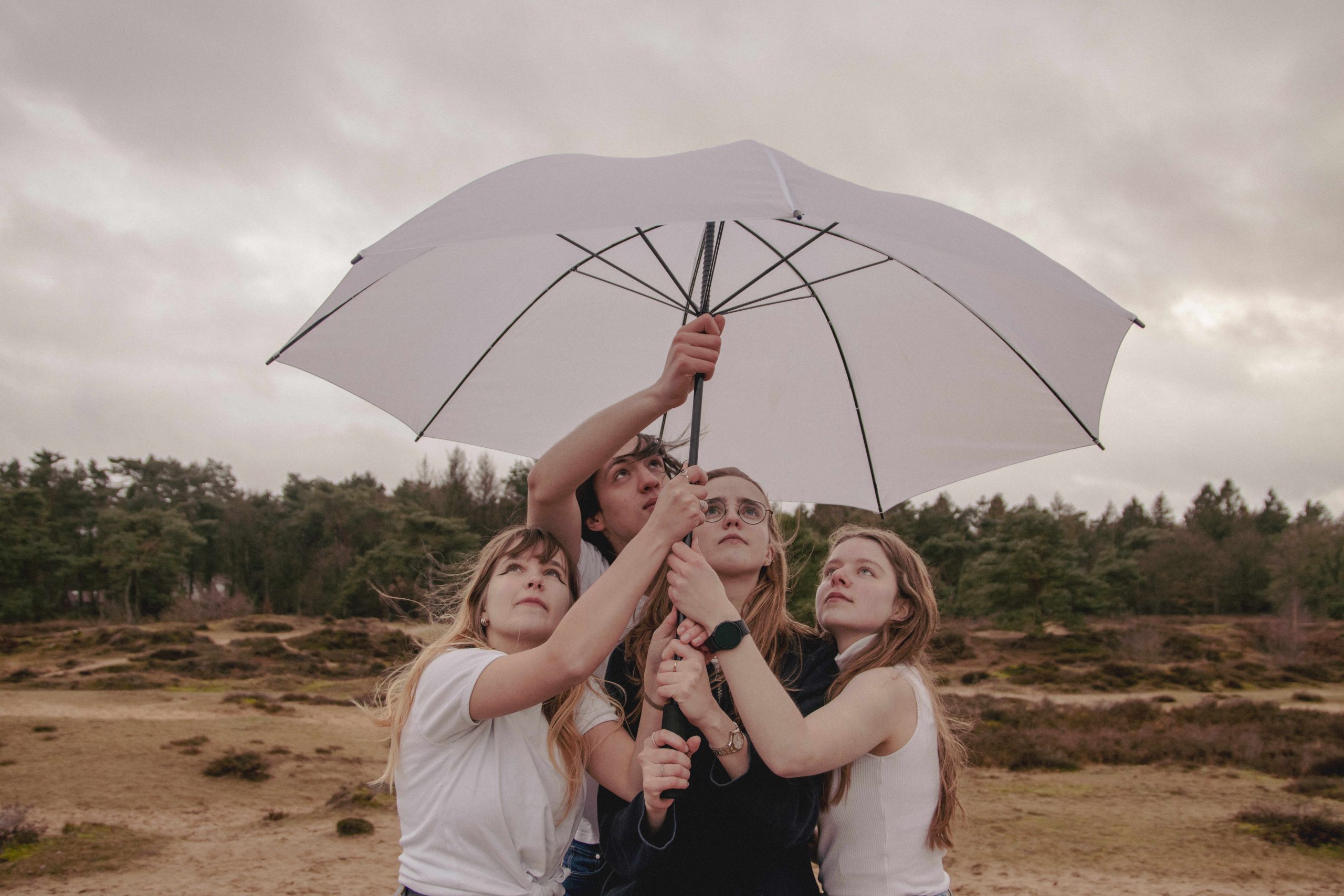 Op de foto is een groep van vier mensen te zien, die een paraplu vasthouden. Ze kijken met een serieuze blik naar boven en op de achtergrond is een heidelandschap te zien met daarachter weer bomen.